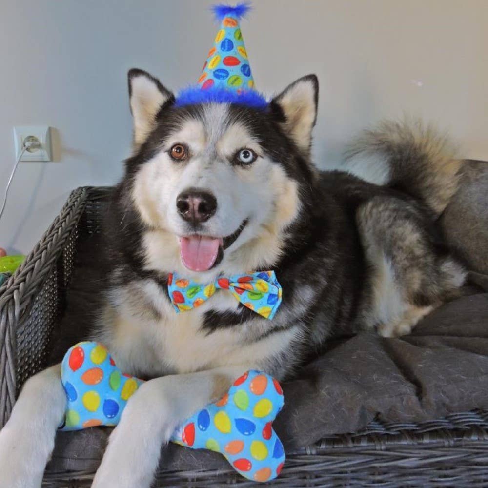 Huxley & Kent - H&K Party Hat Party Time Blue with SnugFit®: LG